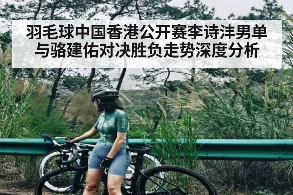 羽毛球中国香港公开赛李诗沣男单与骆建佑对决胜负走势深度分析（NG28）